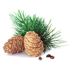 Cedarwood