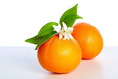 Orange Blossom